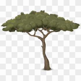 Baum Mit Langem Stamm, HD Png Download - tree trunk png
