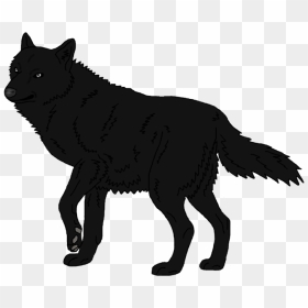 Schipperke Arctic Wolf Mexican Wolf Black Wolf Arctic - Wolf Shadow Transparent Png, Png Download - white wolf png
