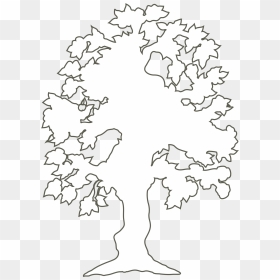 Simple Flowering Tree Outline Clip Arts - White Tree Silhouette Png, Transparent Png - flower outline png