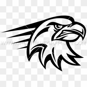 Eagle Head Vector Png - Angry Eagle Drawing, Transparent Png - eagle head png