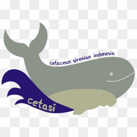Sperm Whale Clipart Whale Harpoon , Png Download, Transparent Png - sperm png