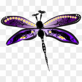 Dragonfly, HD Png Download - dragonfly png