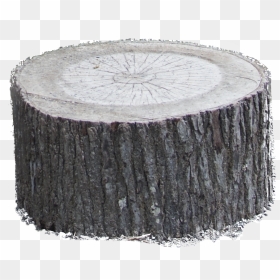 Thumb Image - Coffee Table, HD Png Download - tree trunk png