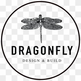 Logocircleblack - Net-winged Insects, HD Png Download - dragonfly png