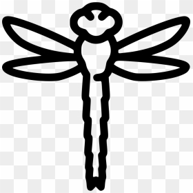 Dragonfly, HD Png Download - dragonfly png