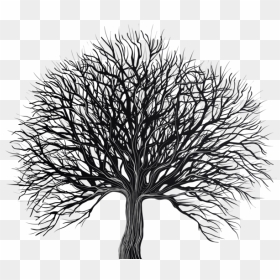 Tree Png - Clipart Transparent Background Black Tree, Png Download - tree trunk png