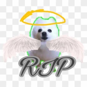 Gabe The Dog Died Rip Gabe - Bighorn, HD Png Download - gabe the dog png