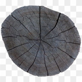 Preview - Tree Stump, HD Png Download - tree trunk png