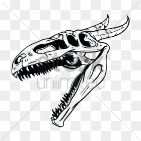 Dragon Skull Png - Dragon Skull Drawing, Transparent Png - transparent skull png