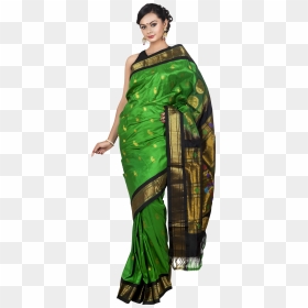 Vector Women Saree - High Bun With Saree, HD Png Download - saree model png