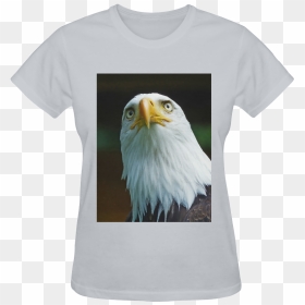 American Bald Eagle Head 001 14 Sunny Women"s T-shirt - Bald Eagle, HD Png Download - eagle head png