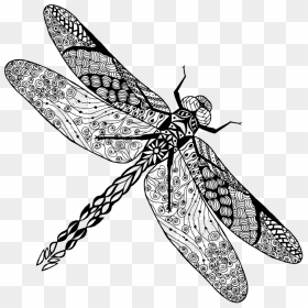 Transparent Dragon Fly Clipart - Dragonfly Drawing, HD Png Download - dragonfly png