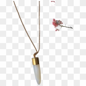 Horn Bullet Necklace, HD Png Download - jewellery necklace png