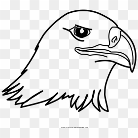 Coloring Book Coloring Book Native American Eagle Pagesle - Coloring Book, HD Png Download - eagle head png
