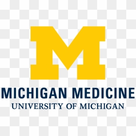 Poverty Solutions Umich, HD Png Download - michigan logo png