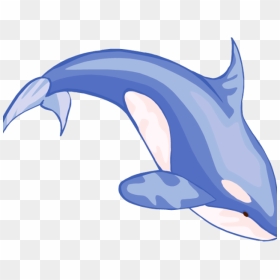 Sperm Whale Clipart Real - Vector Whale Png, Transparent Png - sperm png
