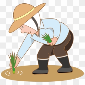 India Clipart Farmers - Planting Rice Clipart, HD Png Download - indian farmer png