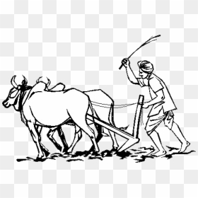 Essay On Indian Farmer, HD Png Download - indian farmer png