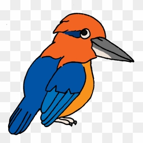 Endangered Island Dweller - Guam Kingfisher Clipart, HD Png Download - kingfisher logo png