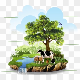Organic Farming In India - Conservation Of Nature, HD Png Download - indian farmer png