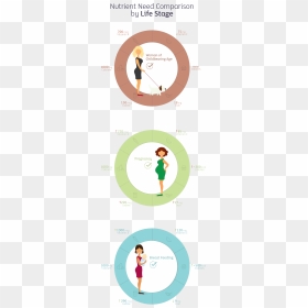 Vitamin And Mineral Needs Can Vary Greatly Between - Illustration, HD Png Download - male symbol png