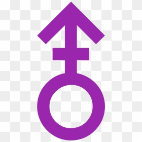 Male Stroke V Icon - Cross, HD Png Download - male symbol png