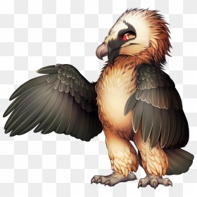 Bird Of Prey Bearded Vulture Egyptian Vulture - Bearded Vulture Clipart, HD Png Download - vulture png