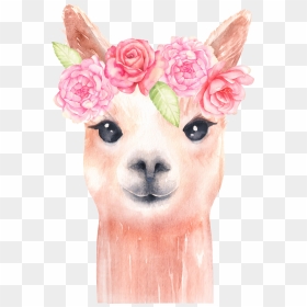 Alpaca And Flower Clipart/ Llama Clip Art/ Watercolor - Transparent Llama Clipart, HD Png Download - alpaca png