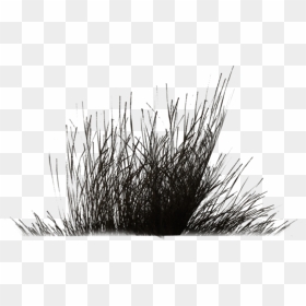 Winter Vegetation By Wolv - Bushes Clipart Black And White, HD Png Download - vegetation png