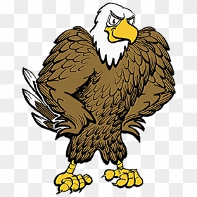 Eagle With Football Clipart Png Library Download Eagle - Eagle Clip Art, Transparent Png - eagle head png