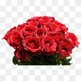Red Rose Bouquet Wallpaper Hd, HD Png Download - rose bunch png