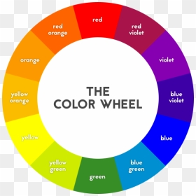 Web Design Basics Indianapolis - Color Wheel Transparent Background, HD Png Download - color wheel png