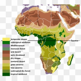 Vegetation Africa - 8 Physical Regions Of Africa, HD Png Download - vegetation png