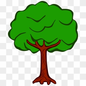 Tree Drawing With Color, HD Png Download - vegetation png