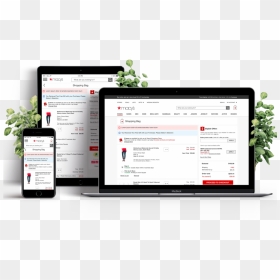 Responsivebag Final Casestudy, HD Png Download - responsive website png