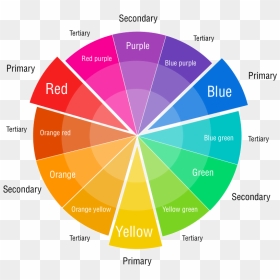 Colour Correcting Colour Wheel, HD Png Download - color wheel png