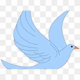 Free Doves Png Images Hd Doves Png Download Vhv - blue dove png clipart pigeons and doves clip art t shirt roblox
