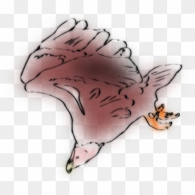 Griffon Vulture Sketch Clip Arts - Clip Art, HD Png Download - vulture png
