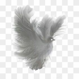 Dove Clipart Feather - Transparent Fantasy Png, Png Download - dove png transparent background