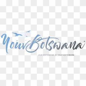 Yourbotswana - Calligraphy, HD Png Download - steve harvey png