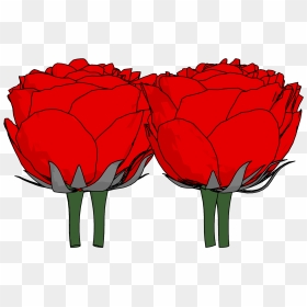 Flowers Png Clipart - Garden Roses, Transparent Png - tulip png