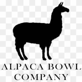 Leisure Uwa, HD Png Download - alpaca png