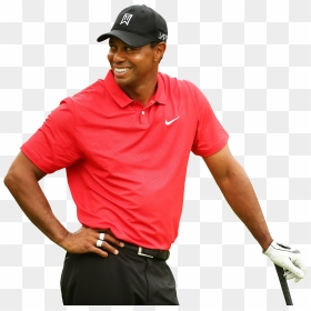 Tiger Woods Png Transparent Image - High Quality Tiger Woods, Png Download - woods png