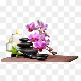 Spa Beauty Png Image Free Download - Spa Beauty Parlour, Transparent Png - foot png