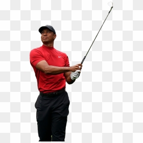 Tiger Woods Transparent Background Png - Tiger Woods No Background, Png Download - woods png