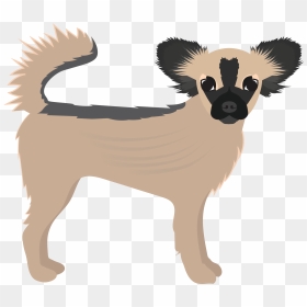 Long Hair Chihuahua Png - Small Greek Domestic Dog, Transparent Png - chihuahua png