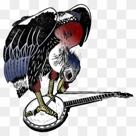 Vulture No Background - Illustration, HD Png Download - vulture png