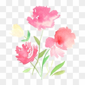 Tulip , Png Download - Gilliflower, Transparent Png - tulip png