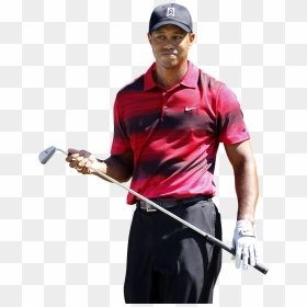 Tiger Woods Png Clipart - Tiger Woods Png, Transparent Png - woods png