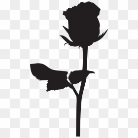 15 Beauty And The Beast Silhouette Png For Free Download - Beauty And The Beast Rose Silhouette, Transparent Png - beauty and the beast rose png
